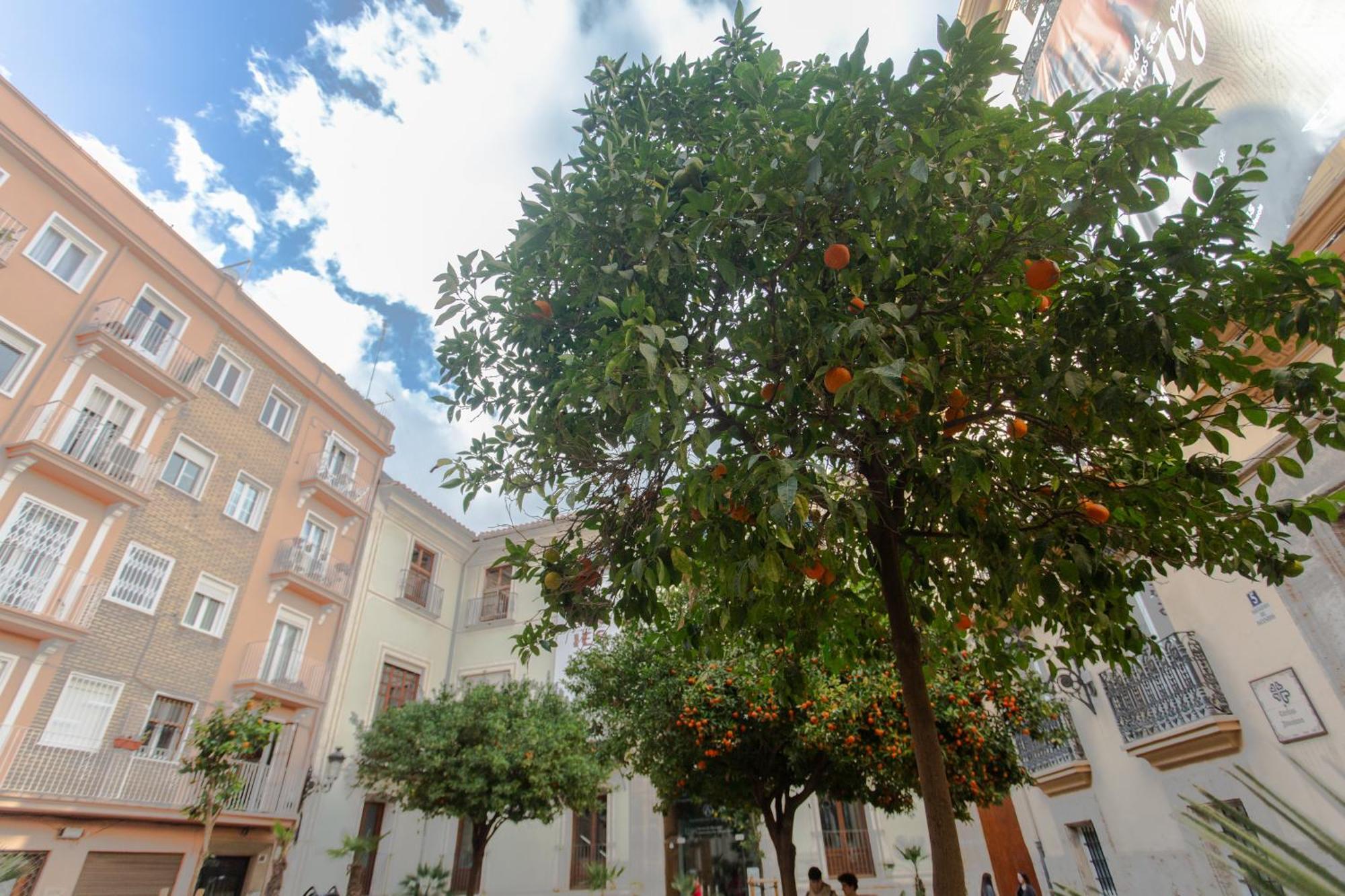 Vlc - Tranquilo Apartamento En Plaza Cisneros Valencia Kültér fotó